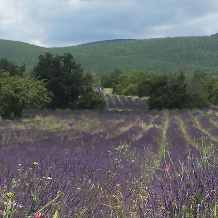 Gite Coquelicots Montsalier 외부 사진